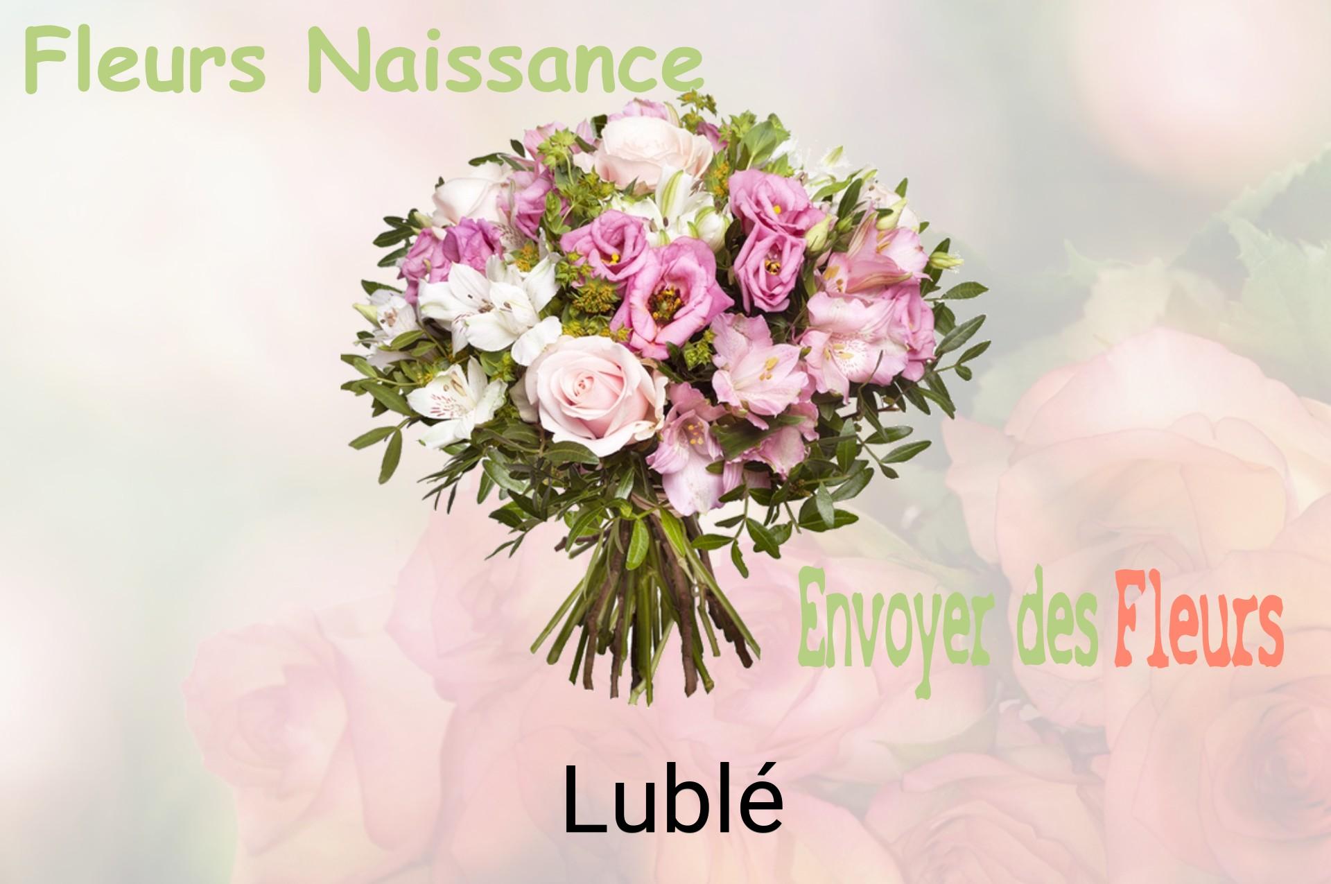 Bouquet de fleurs de naissance livré à Lublé